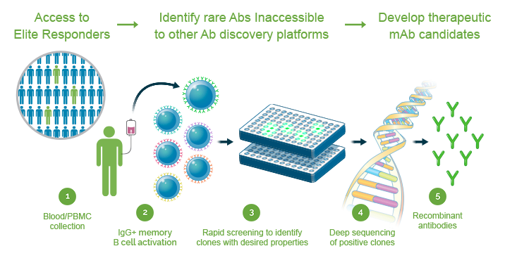 photo explaining platform